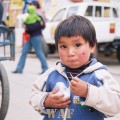 Cachetes andinos