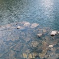 Piedras vivas
