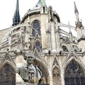 a view of the Notre Dame (Paris)