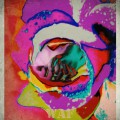 Sensaciones 5