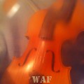 Violín 3