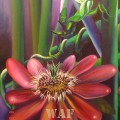 Flor de Mantis