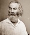Walt Whitman's picture