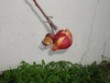 MargaridaRibeiro's picture