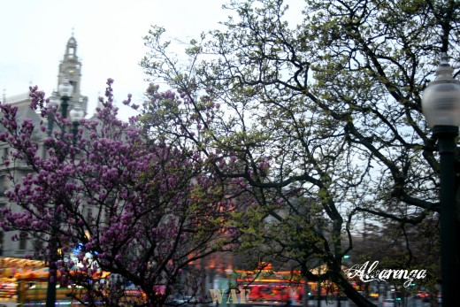 "Flores do Porto"