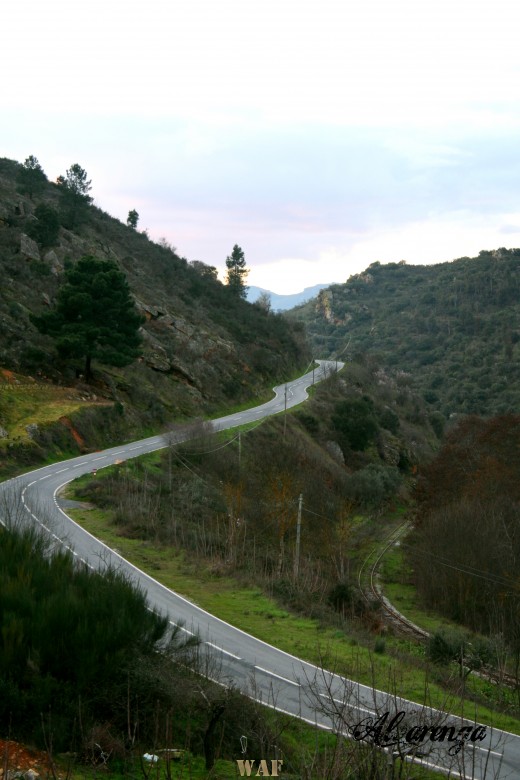 Caminhos ( trás - os - montes)