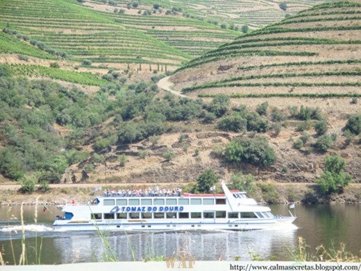 Alto Douro 