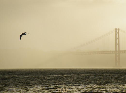 O Tejo e a sua nobreza