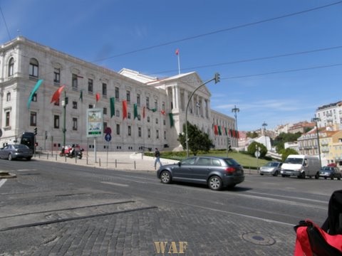 P4241431.JPG