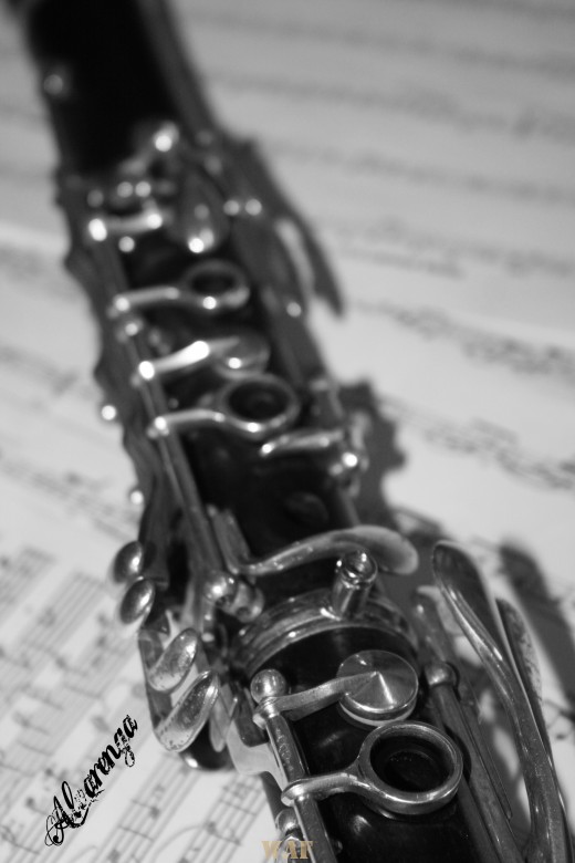 Music´song´sing!