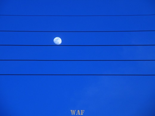 Lá, a Lua