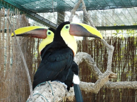 Simetrias