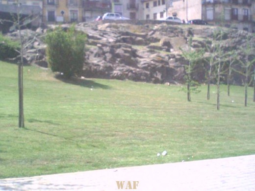 VERDE E PEDRA