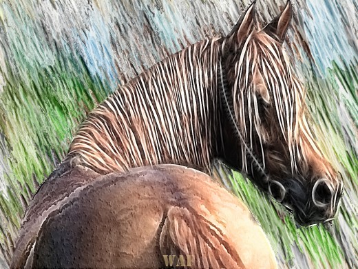 SERIE_CABALLOS AU CRAYON