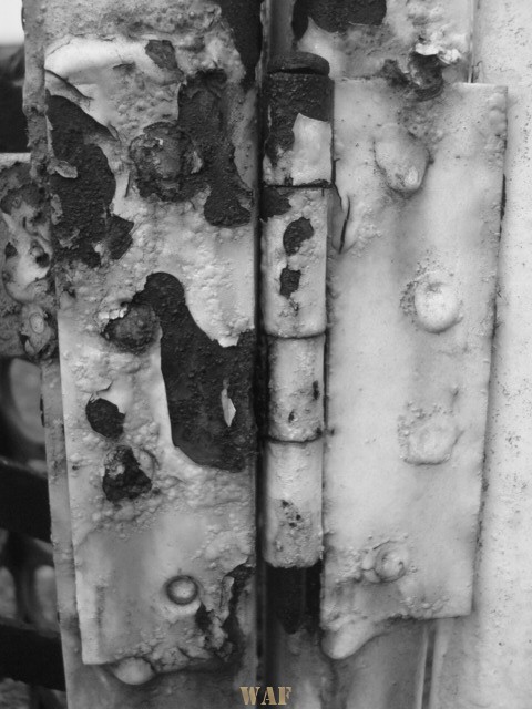 "corrosion" do portfolio Behance.net