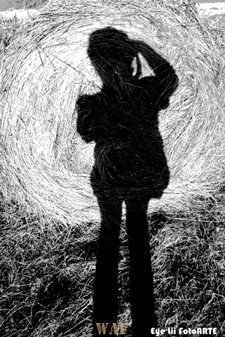"Eye Lii Shadow"
