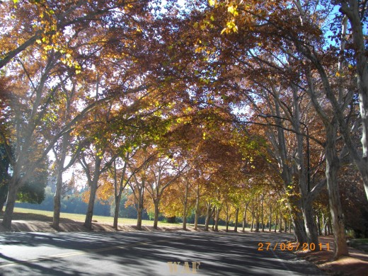 PARQUE GRAL. SAN MARTÍN