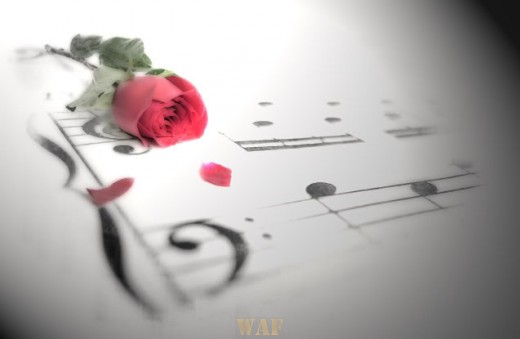 Música e flor