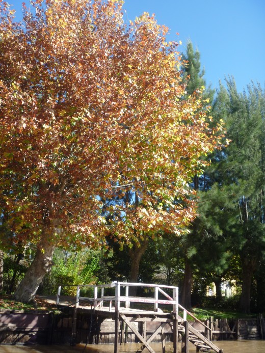 Linda entrada da casa, a beira do Rio Tigre - AR.