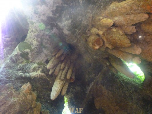 Gruta