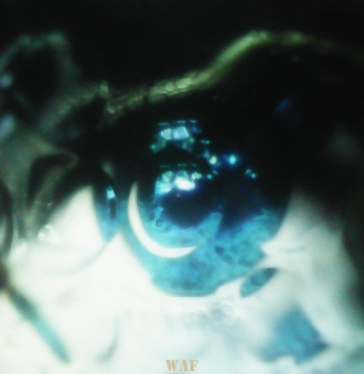 PROFUNDIDAD CELESTIAL
