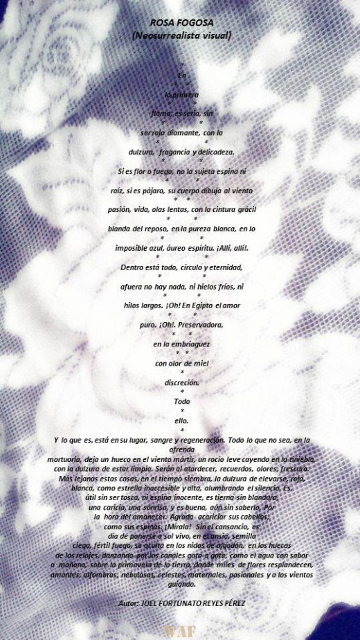 Rosa Fogosa (Fotopoema)