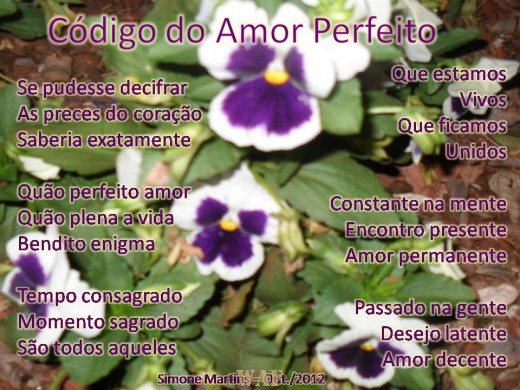 Código do amor perfeito