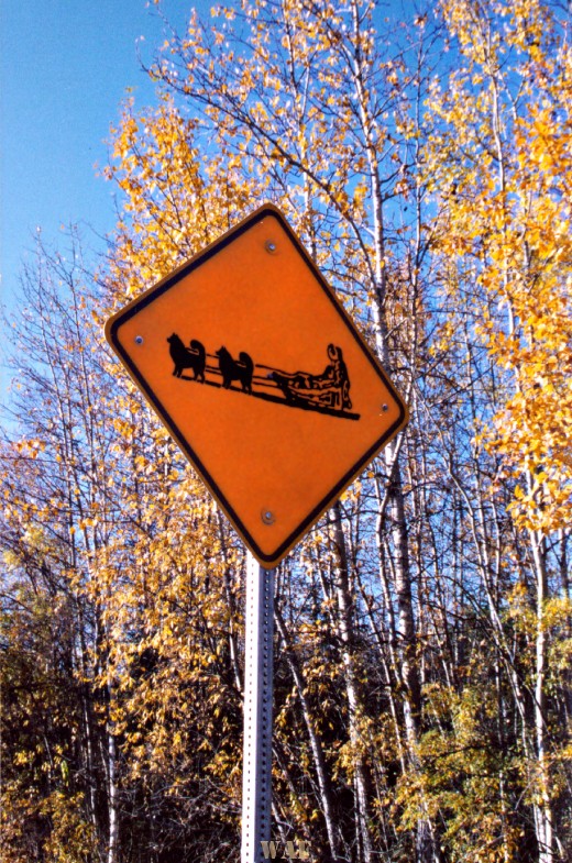 Dog Sled Sign, on the Fairbanks Alaska street