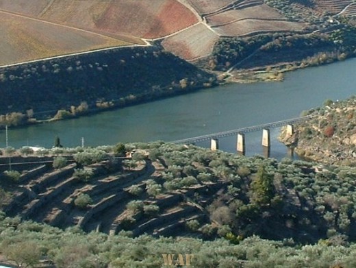 DOURO Valley  My true love...VICTOR Marques