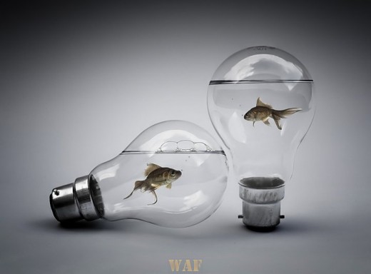 Ideias Molhadas a Dois...