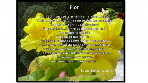 FLOR