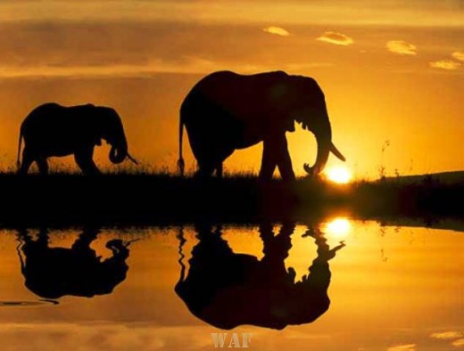 O peso do Reflexo...