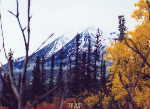 Mount McKinley (2002)
