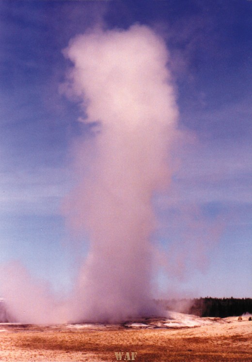 Old Faithful (Wyoming 1998)