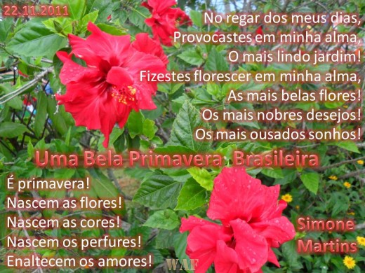 Primavera Brasileira