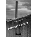 Victor Máximo "Imagens à Solta"